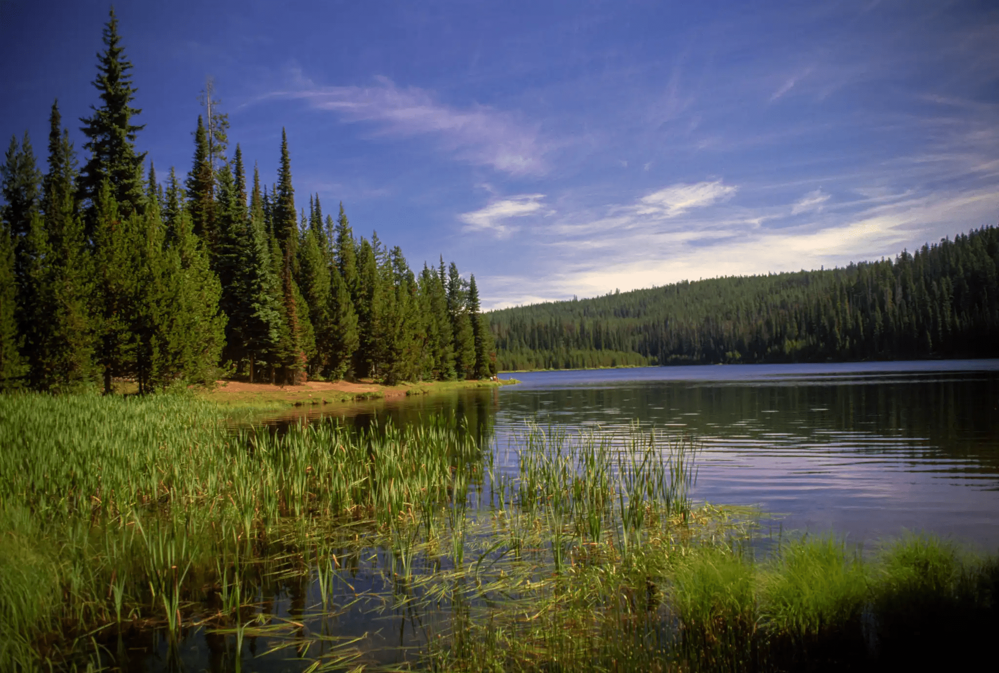 Jubilee Lake reflecting pine trees in Umatilla National Forest