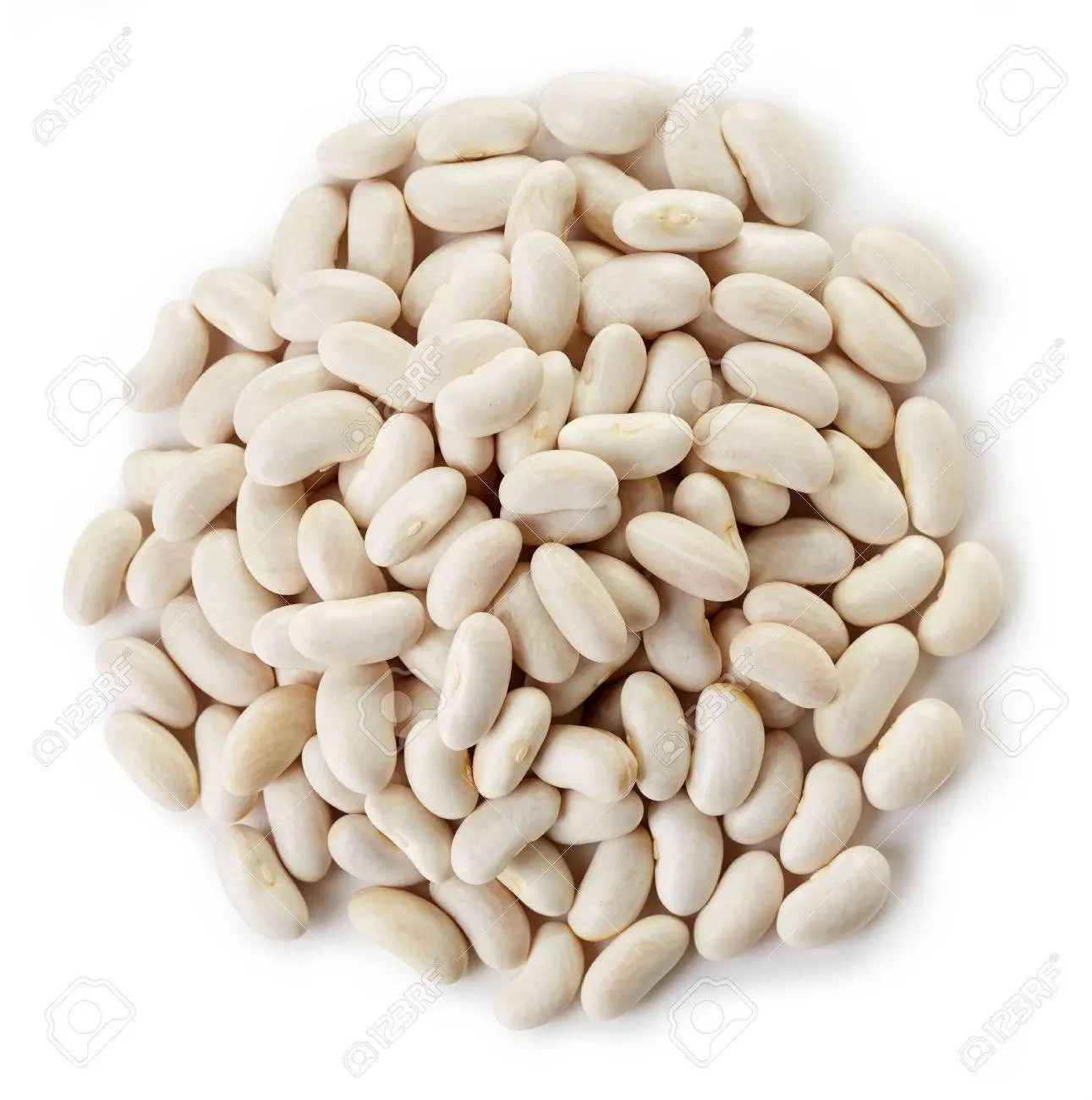 Frijol blanco organico