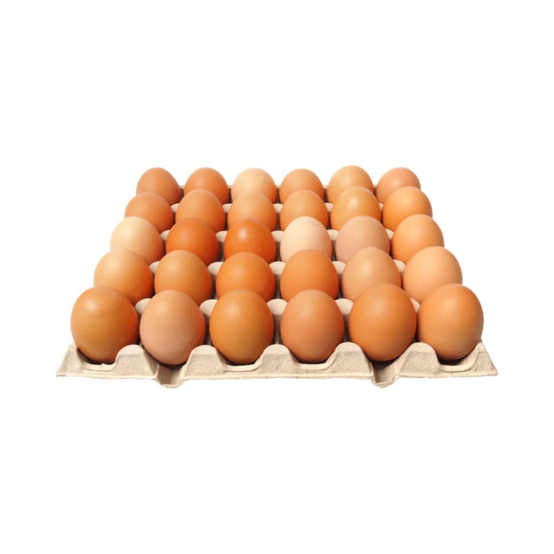 Huevos organicos