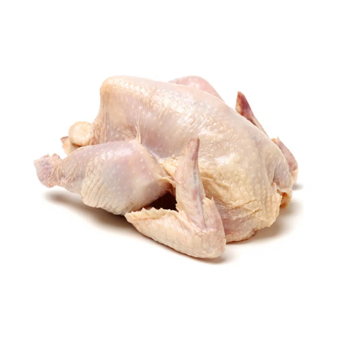 Gallina criolla