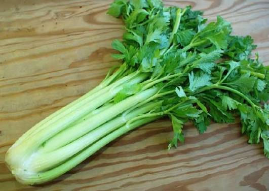APIO ORGANICO