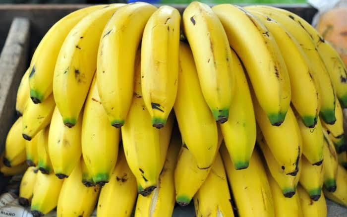 BANANO CRIOLLO