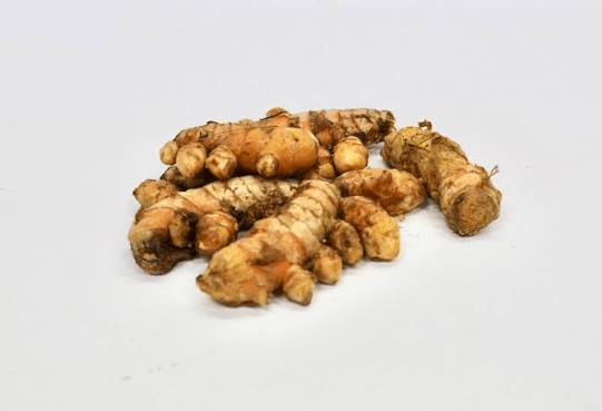 CURCUMA