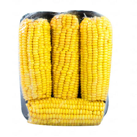 ELOTE DULCE