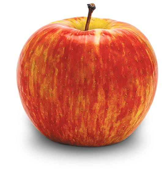 MANZANA GALA