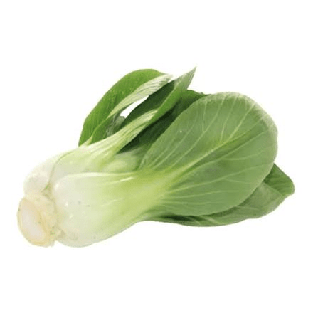 PACKCHOI ORGAN