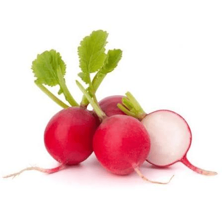 RABANITO ORGANICO
