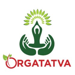 Orgatatva.com