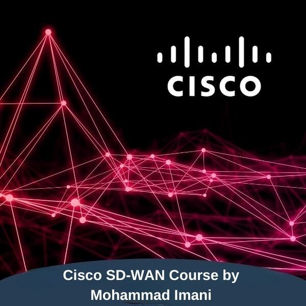 Cisco Sd Wan Viptela Course By Mohammad Imani Orhan Ergun