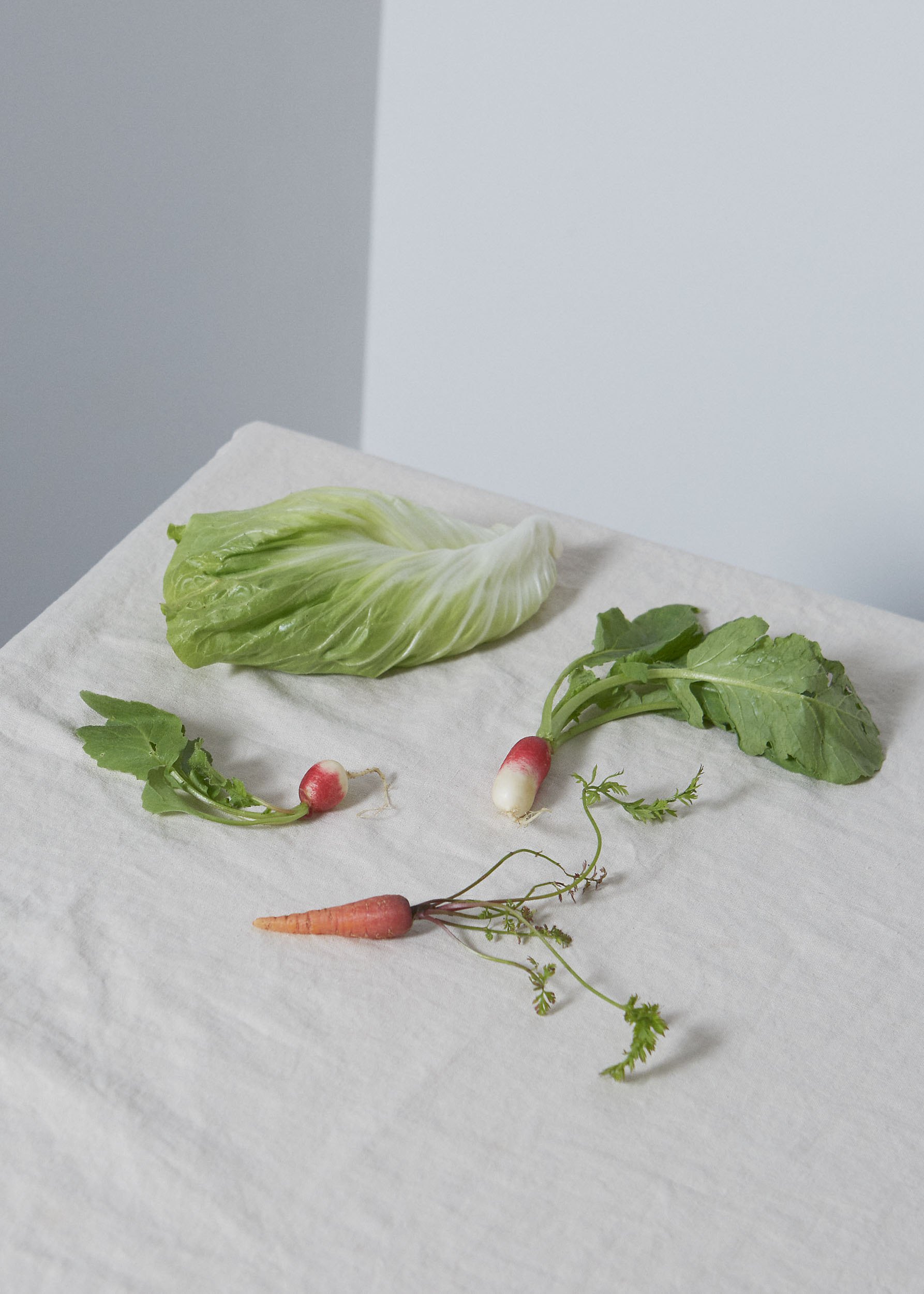 Robin Stein - Photography