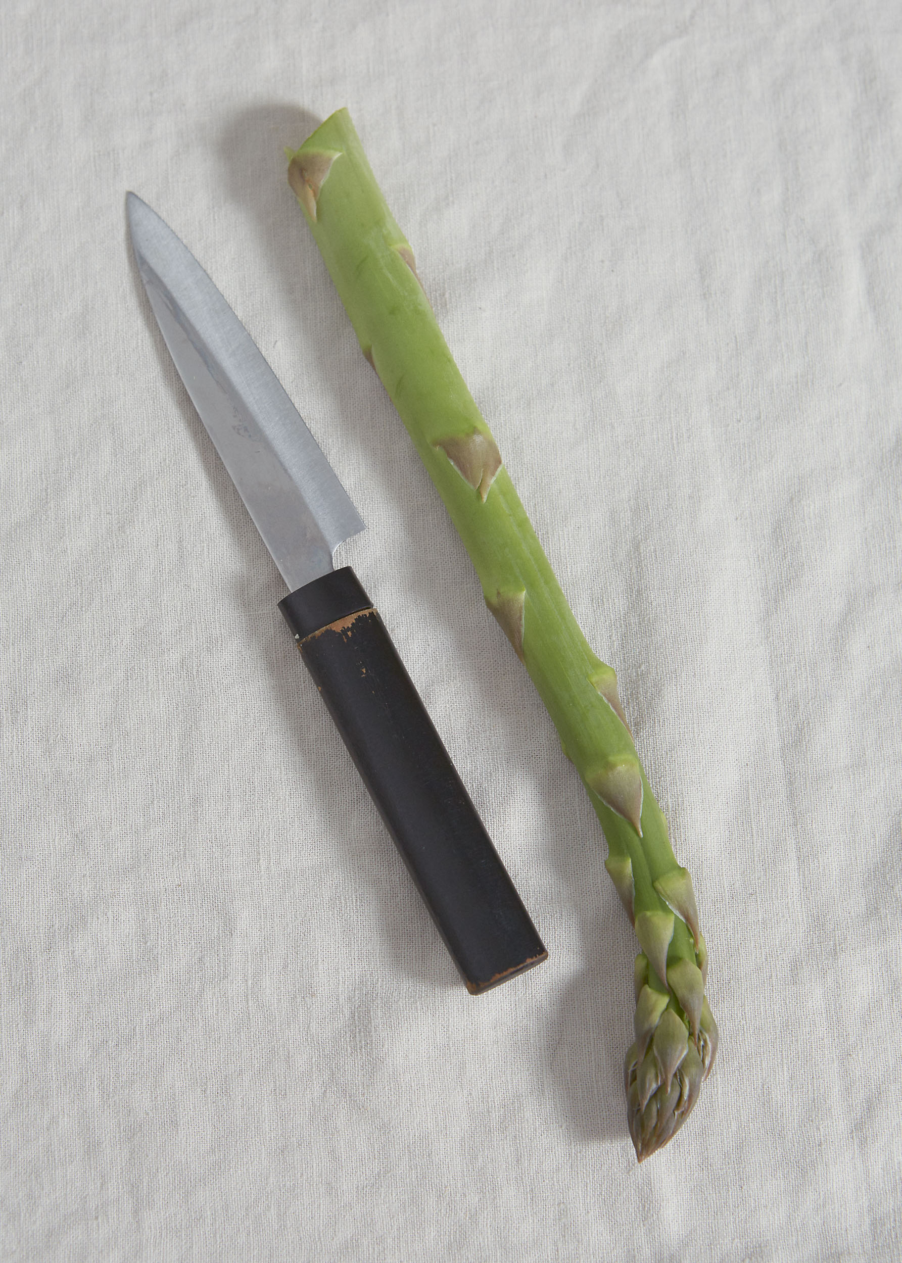 Robin Stein - Photography