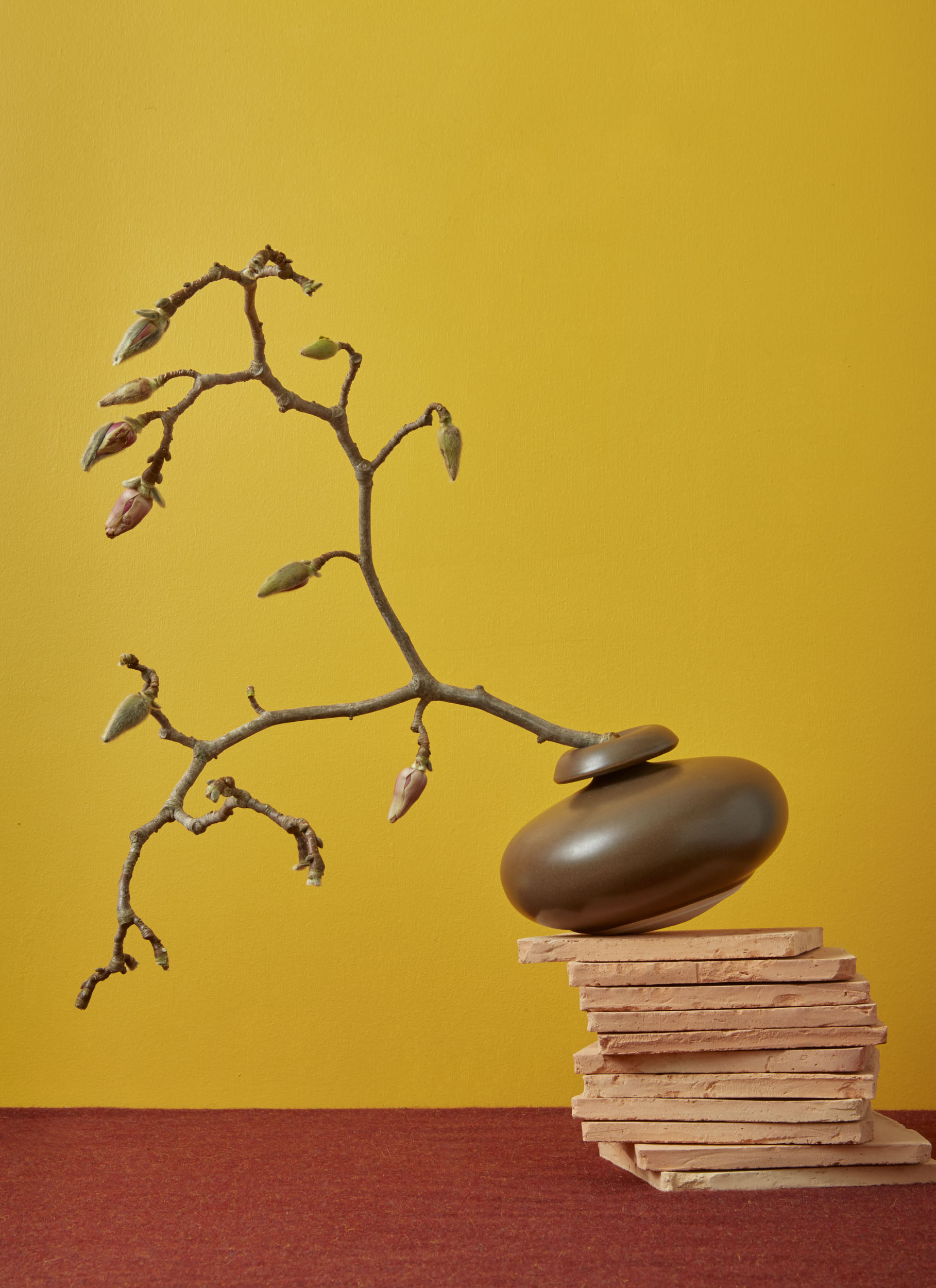  NewFlorals_Robin Stein for T magazine