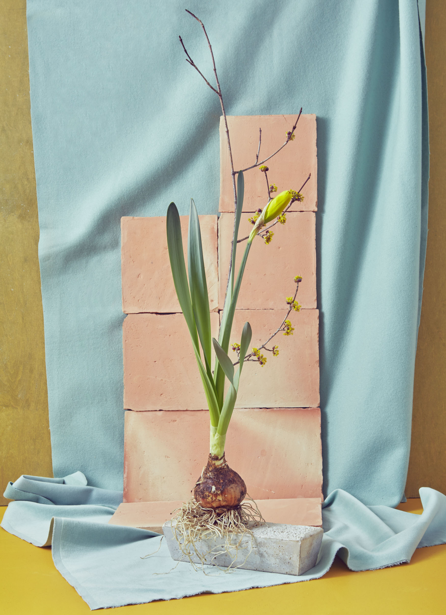  NewFlorals_Robin Stein for T magazine