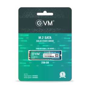 EVM M.2 SATA (2280) SSD 256 GB