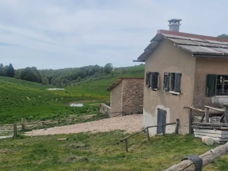 Apertura Baito Malga Roste (SCOPRI LE DATE)