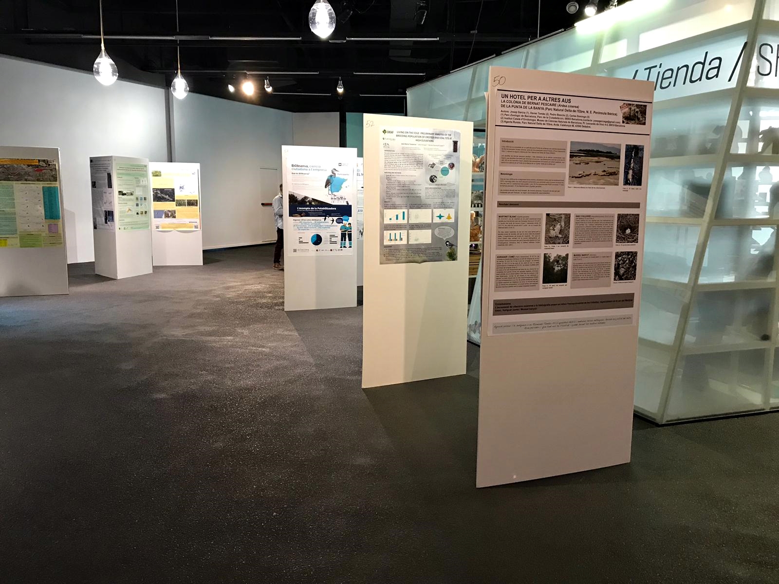 Un altre racó de la zona de pòsters (Foto: Marina Cuito)