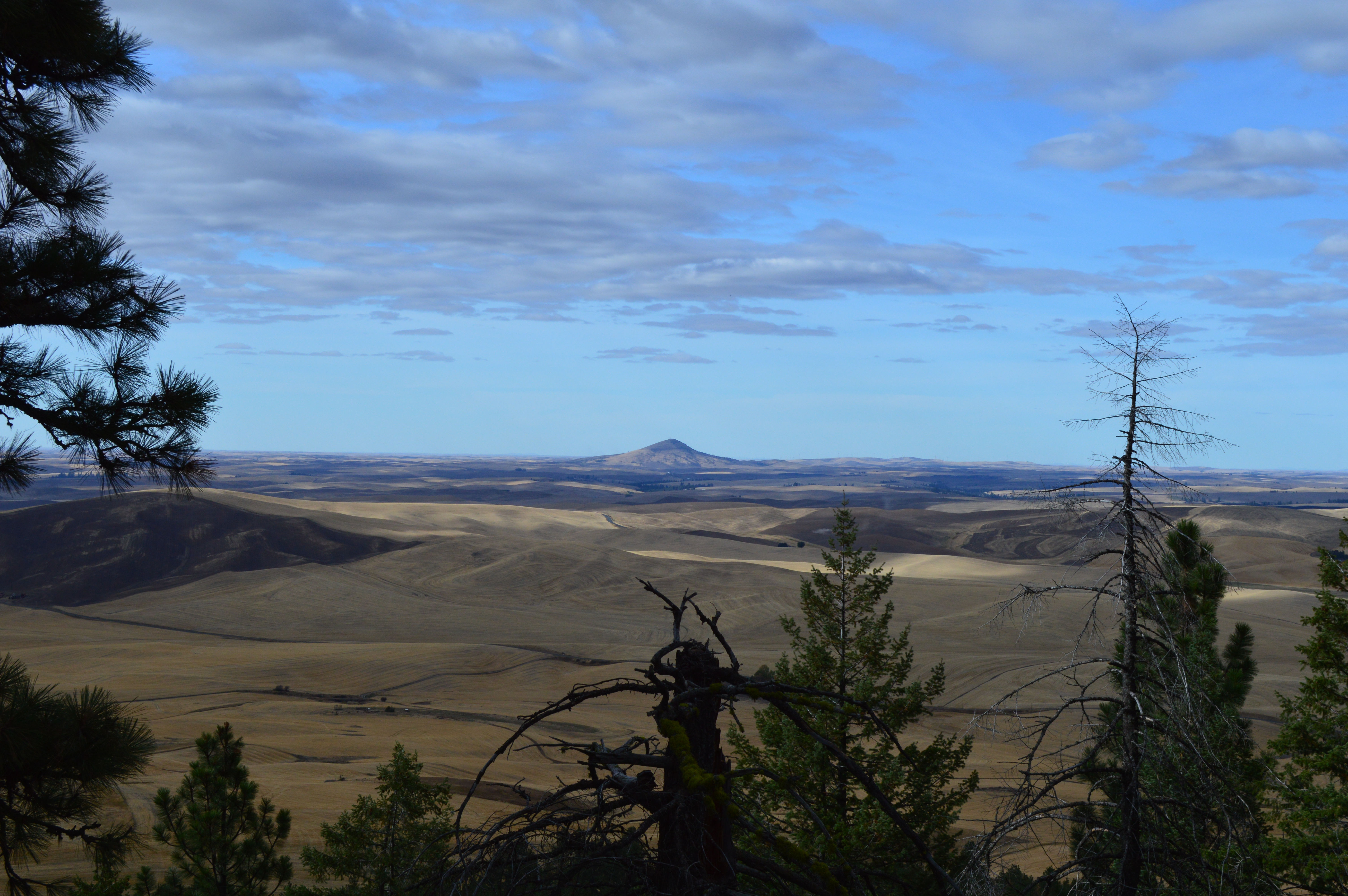 2014: Steptoe Butte