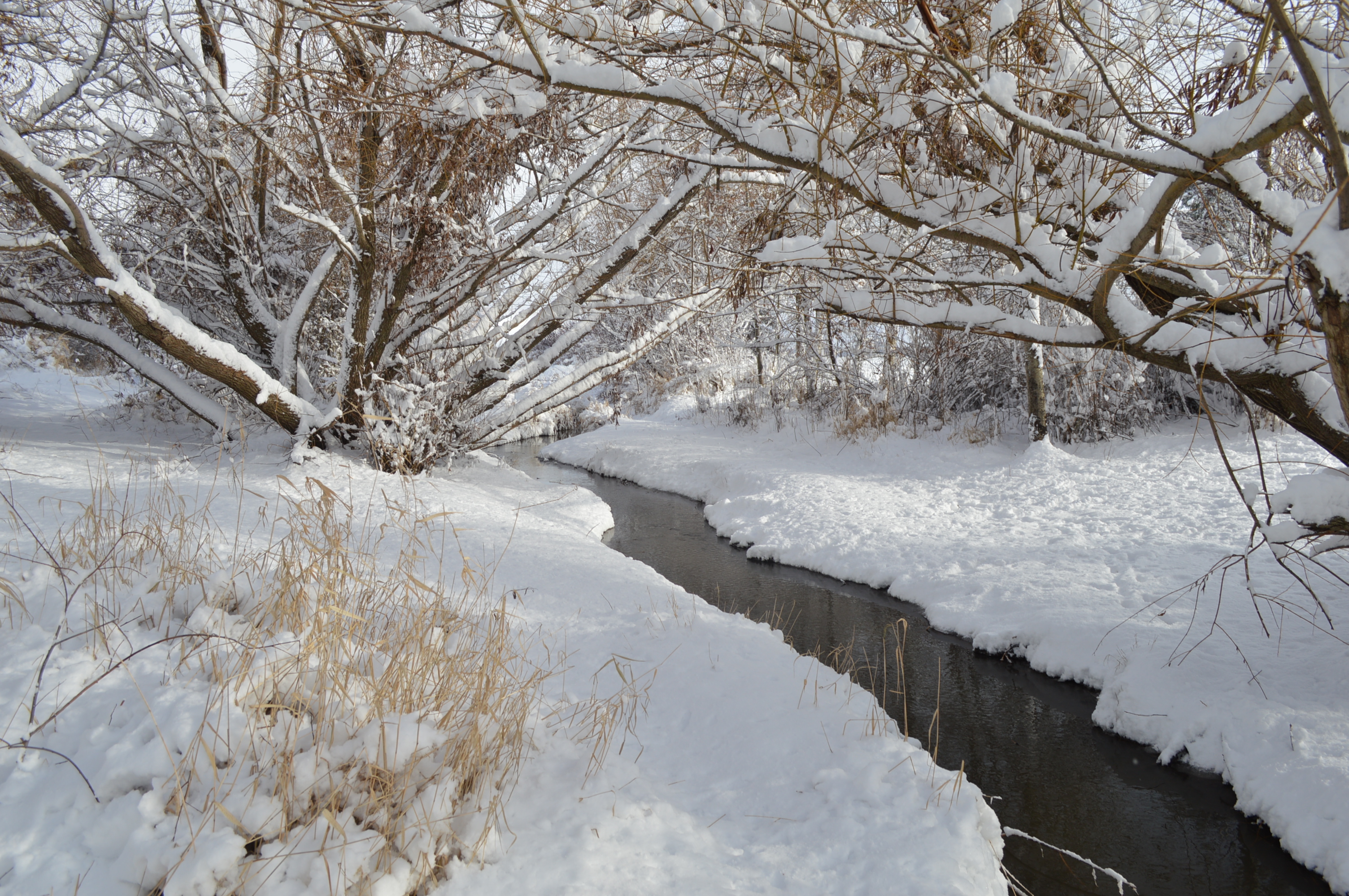 2015: Snowy creek
