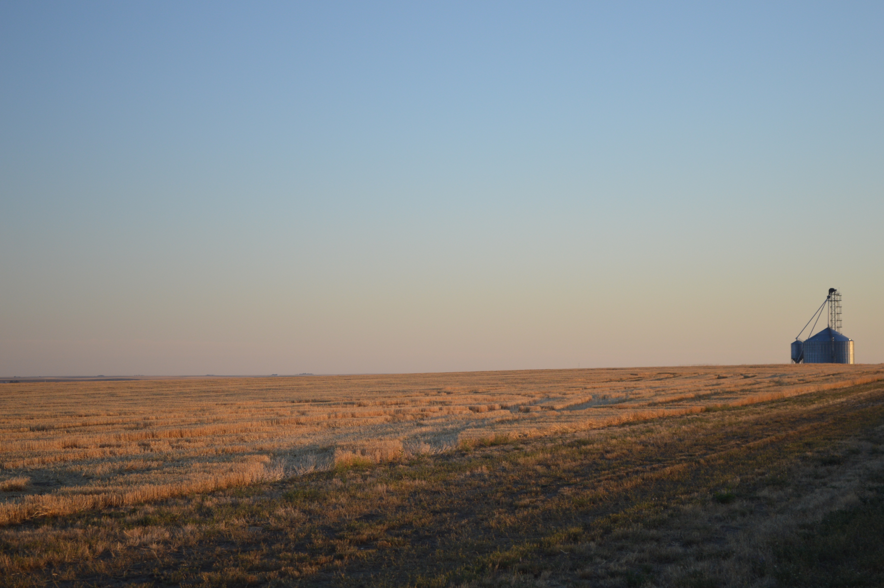 2016: Harvested horizon