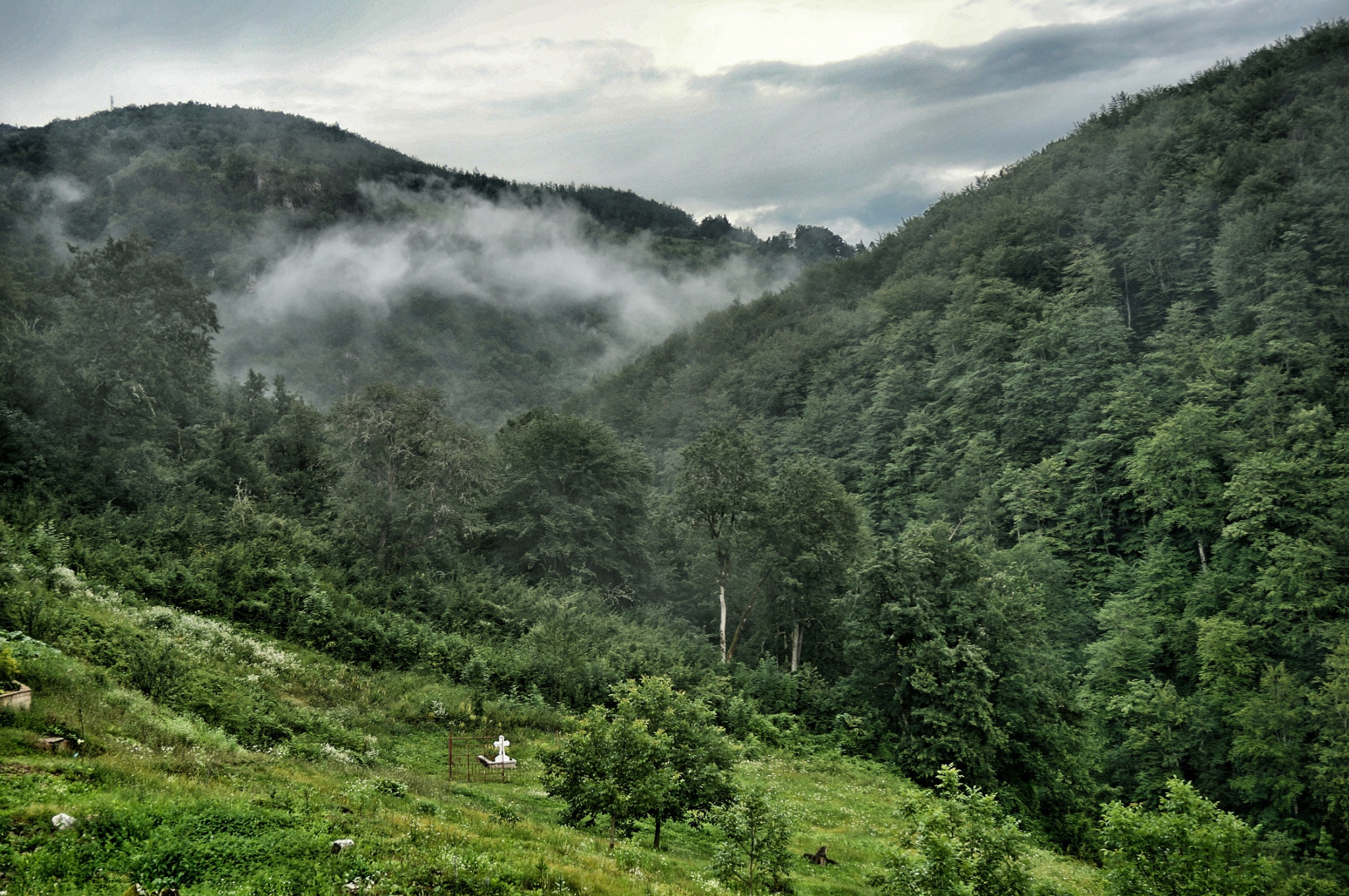Dolina rzeki Tara
