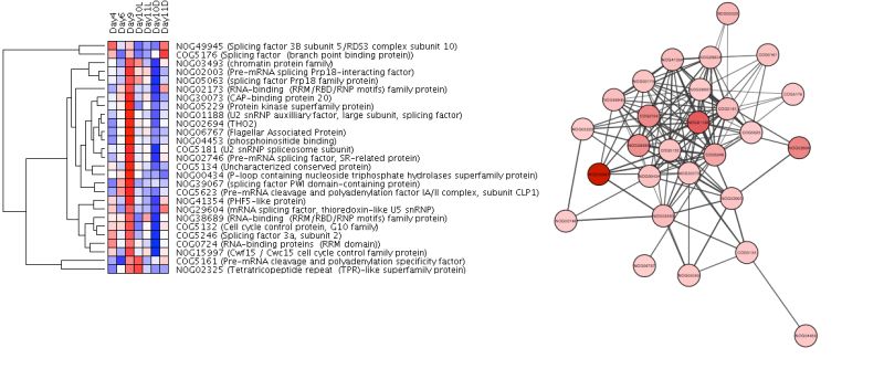 Orthofuzz - Abstract Designs - Classic 4K Collection
