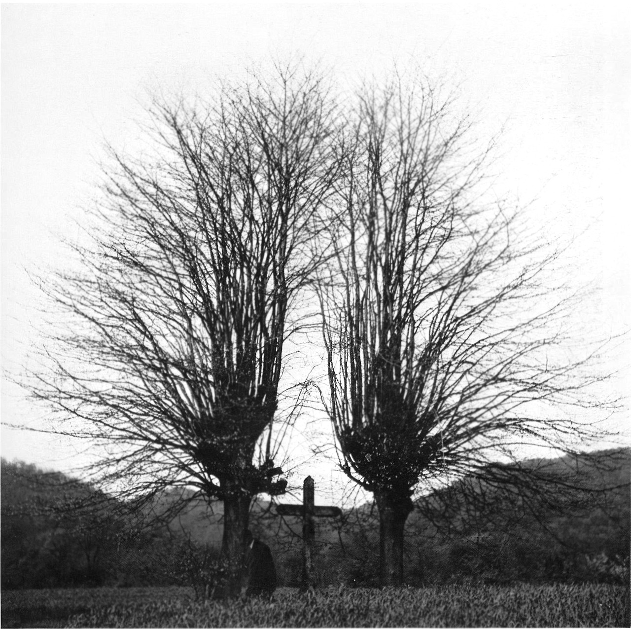 Imogen_Cunningham_44