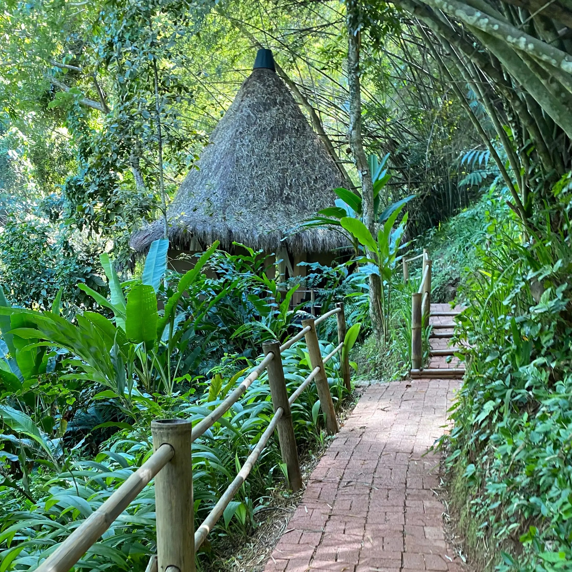 The end of the Trail to the Elephant Camp Spa