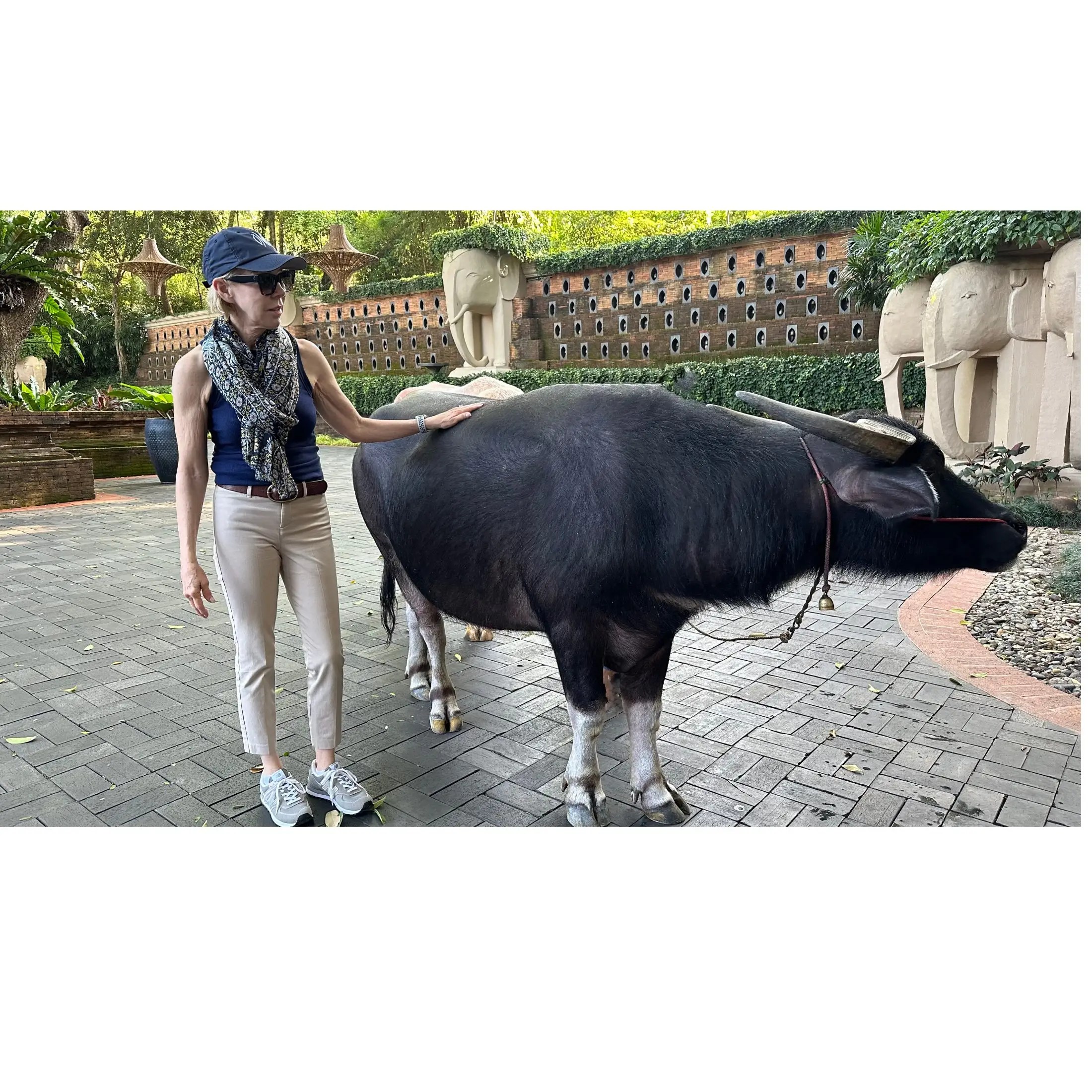 Bert goes everywhere with us