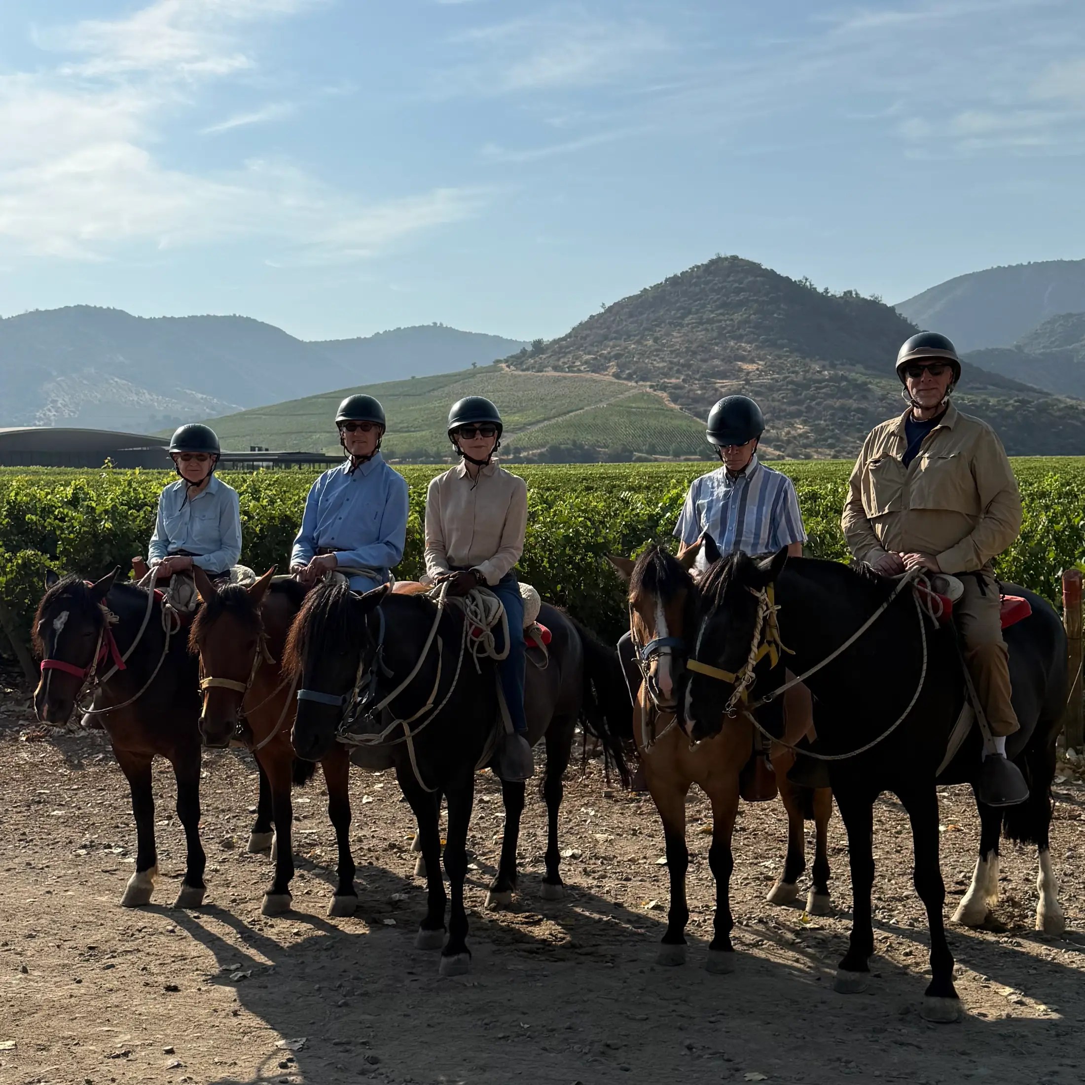 Horseback riding thru the vineyards