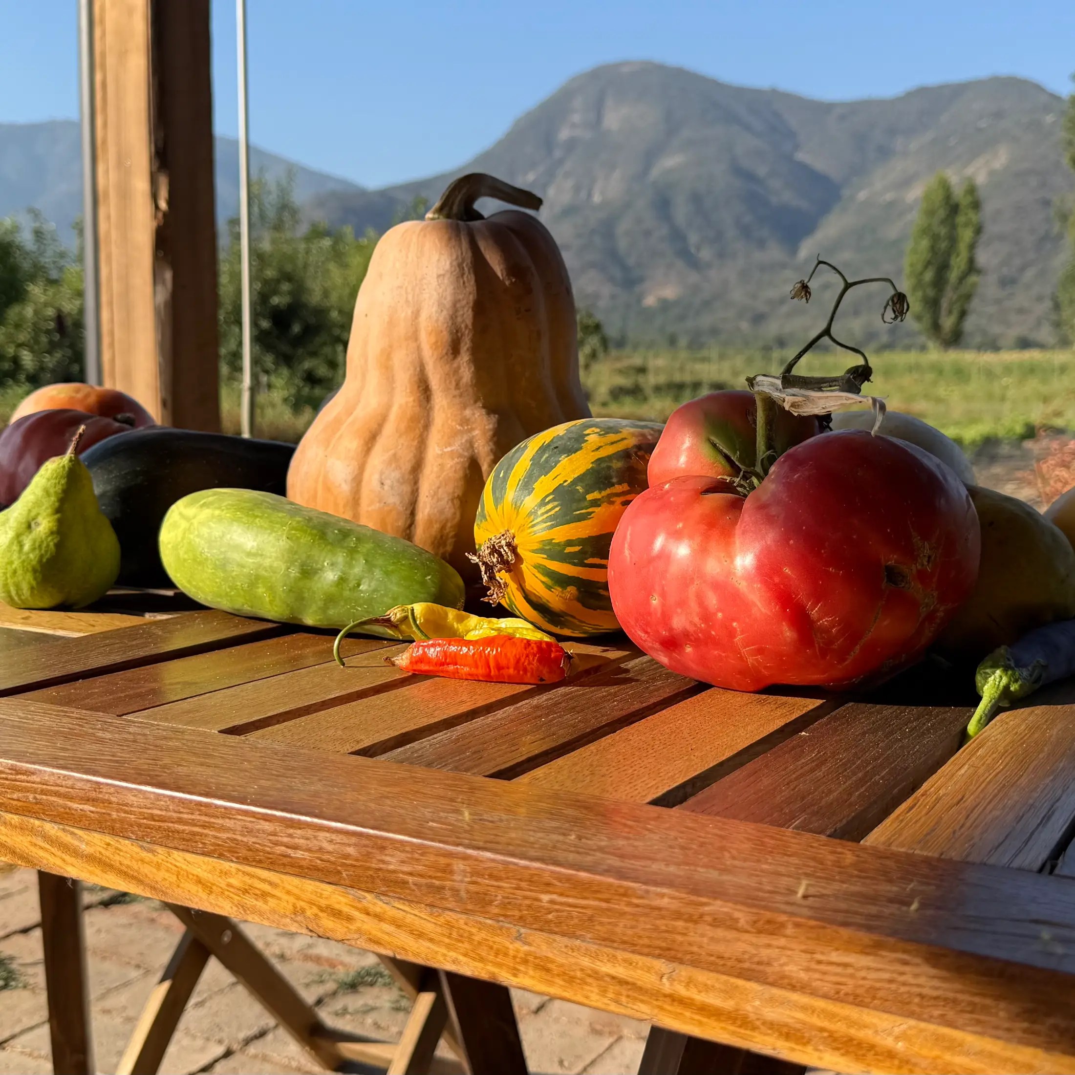 A wonderful dining experience!