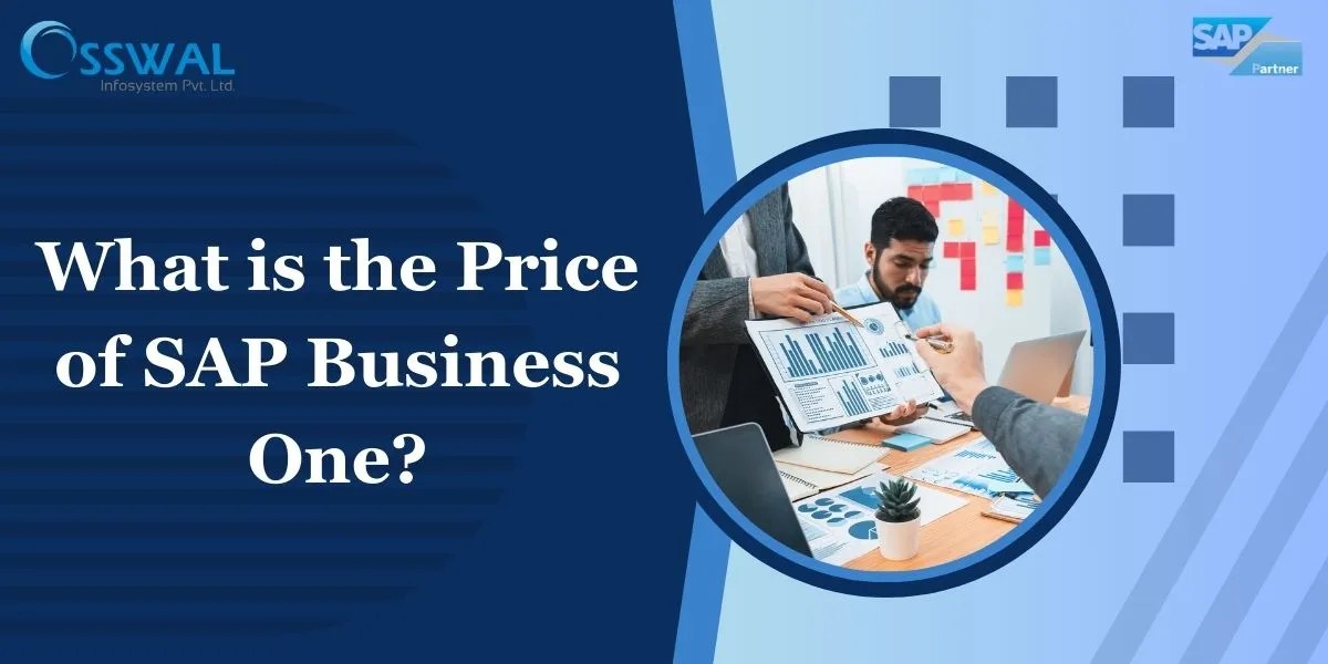 Sap business one costs in india: optimizing erp investments