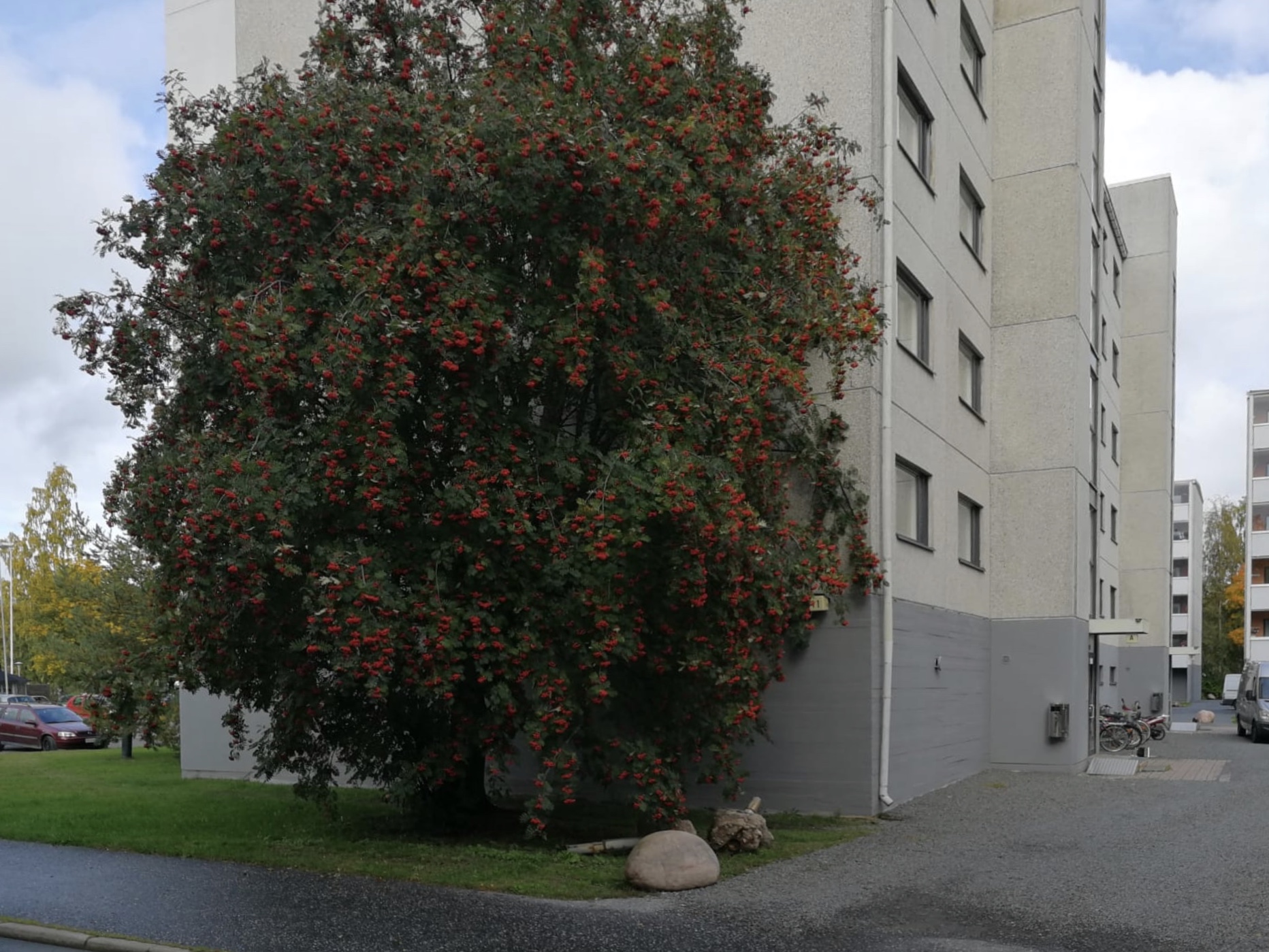 Lehtikuusentieltä päin talon pääty