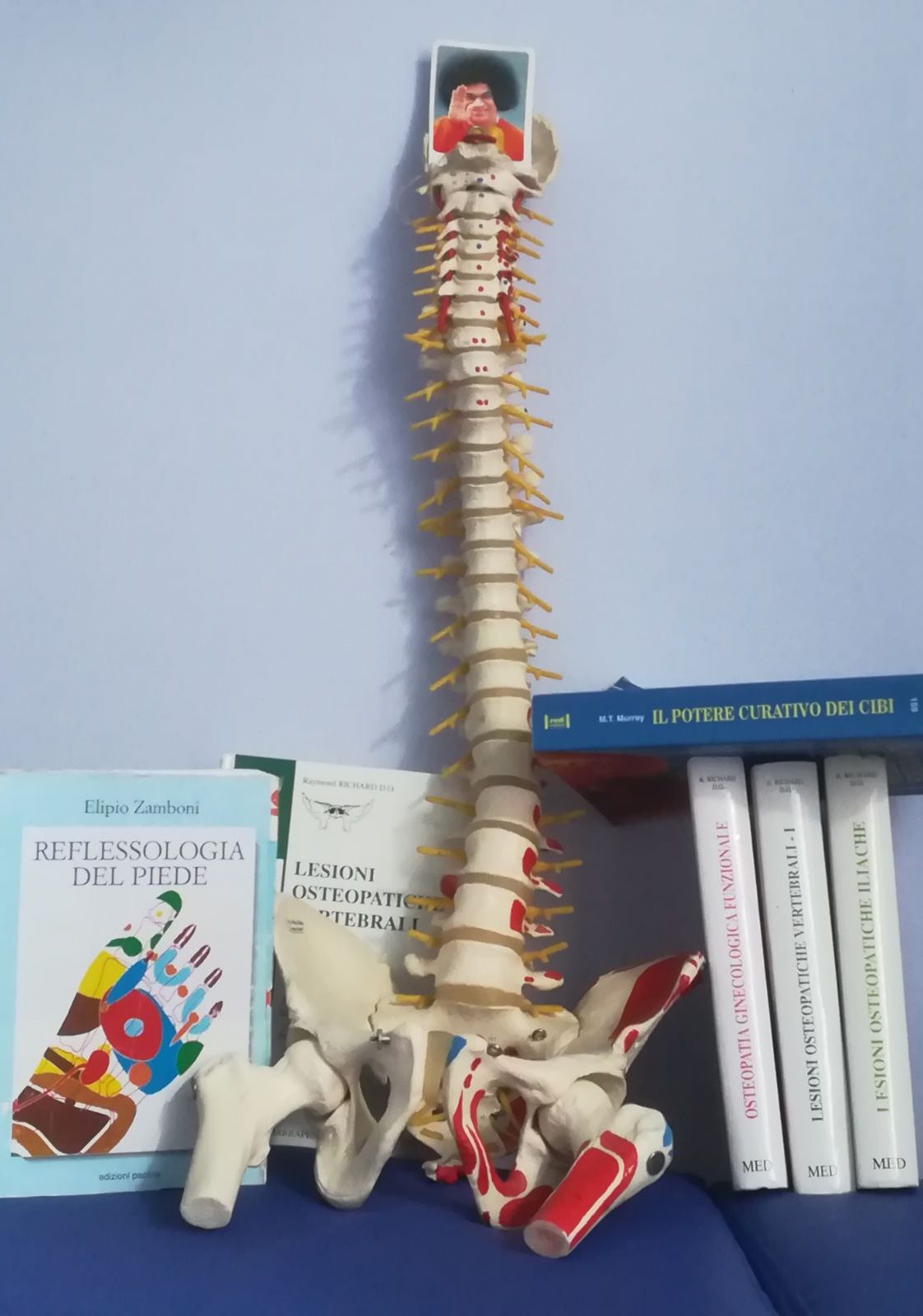 Osteopathic Study