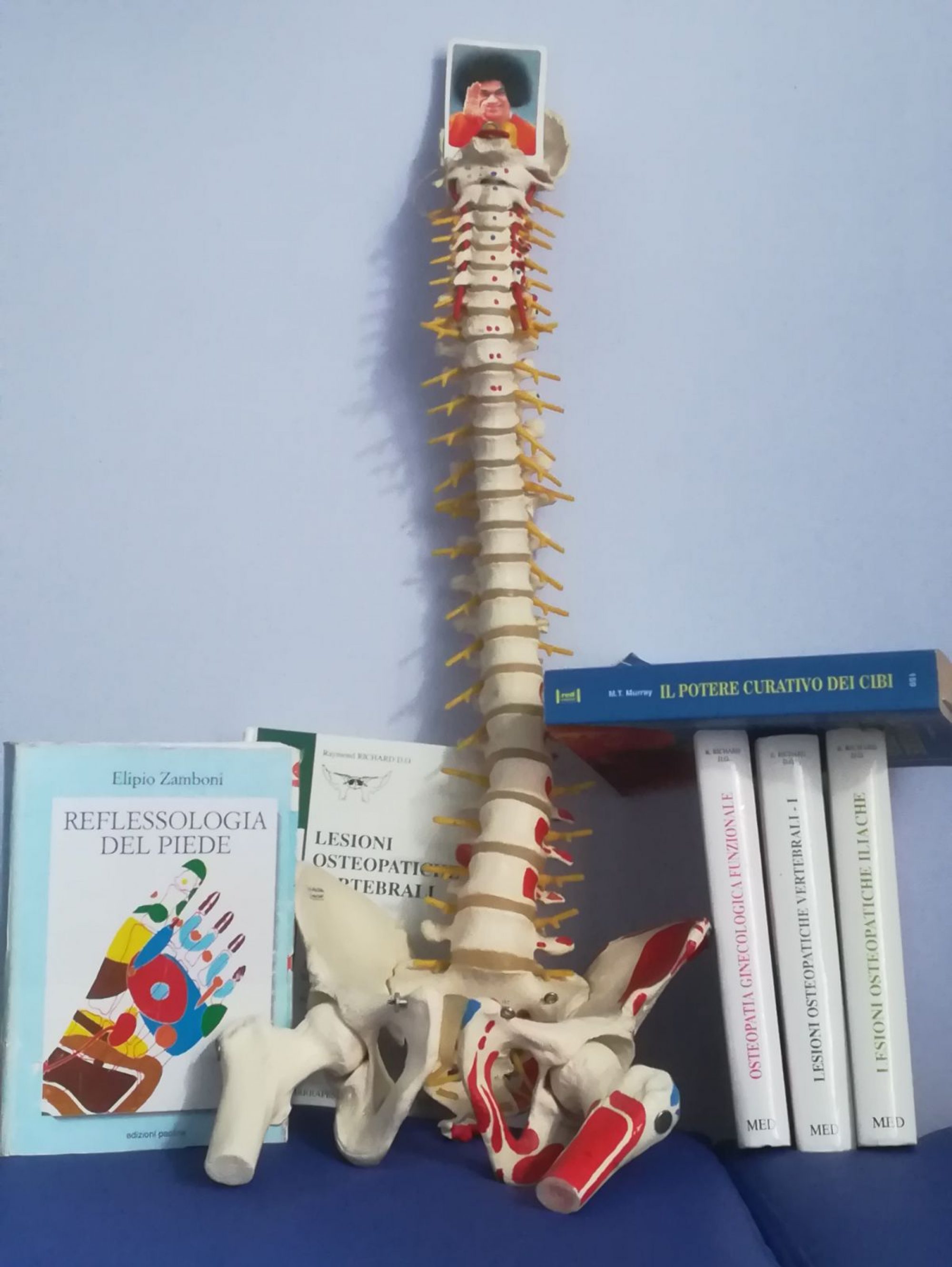 Osteopathic Study