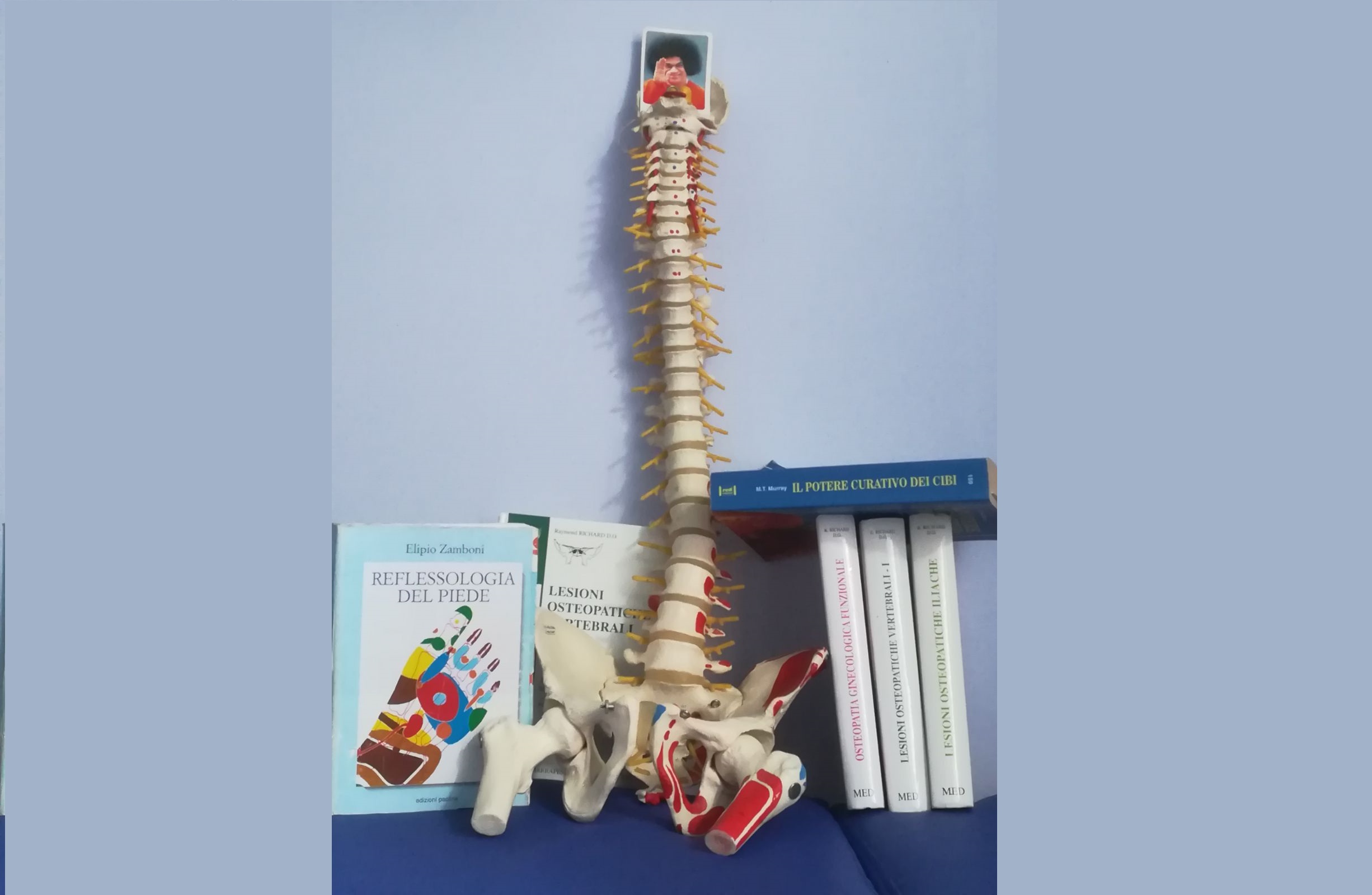 Osteopathic Study