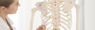 Osteopathic Study