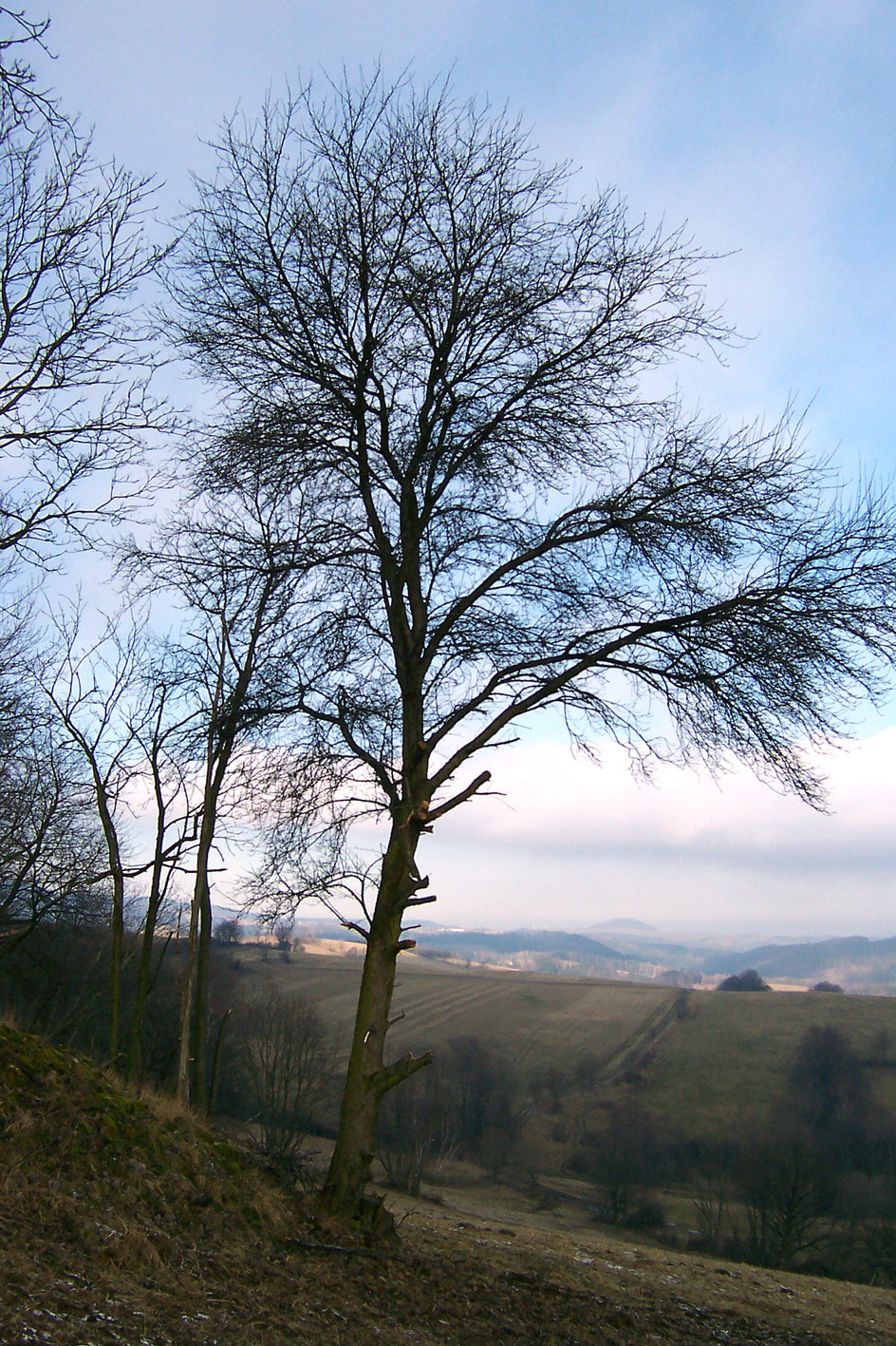 2009