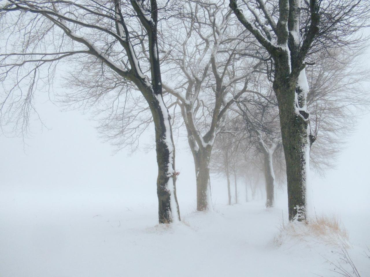 10. Januar 2022 bei Sayda