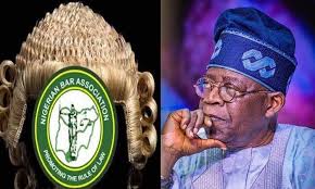 FG Has No Right to Seize LG Funds, NBA Slams FG Over Withheld Osun Allocations