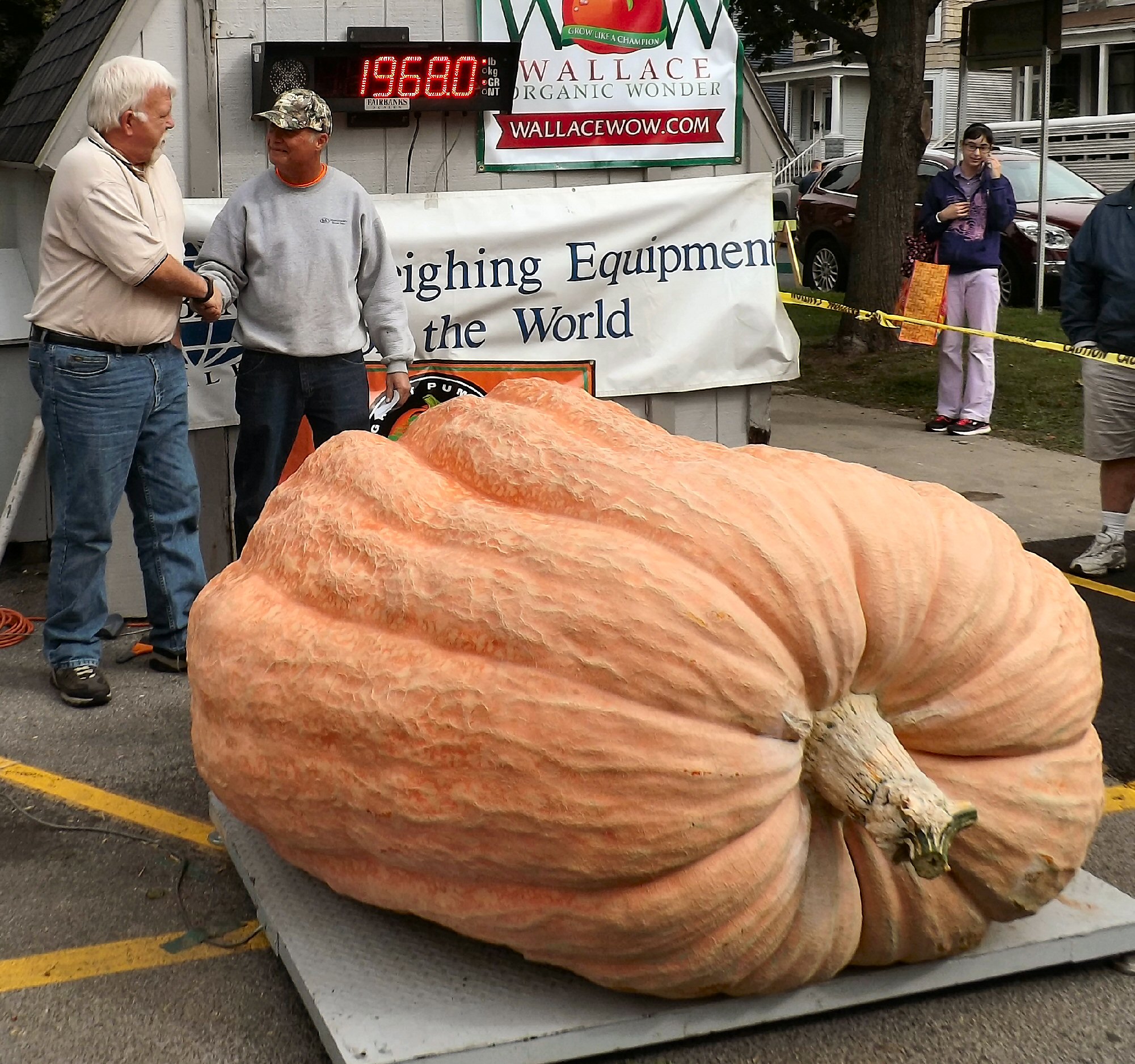 Oswego County TodayOswego Crowns Its Great Pumpkin Champ