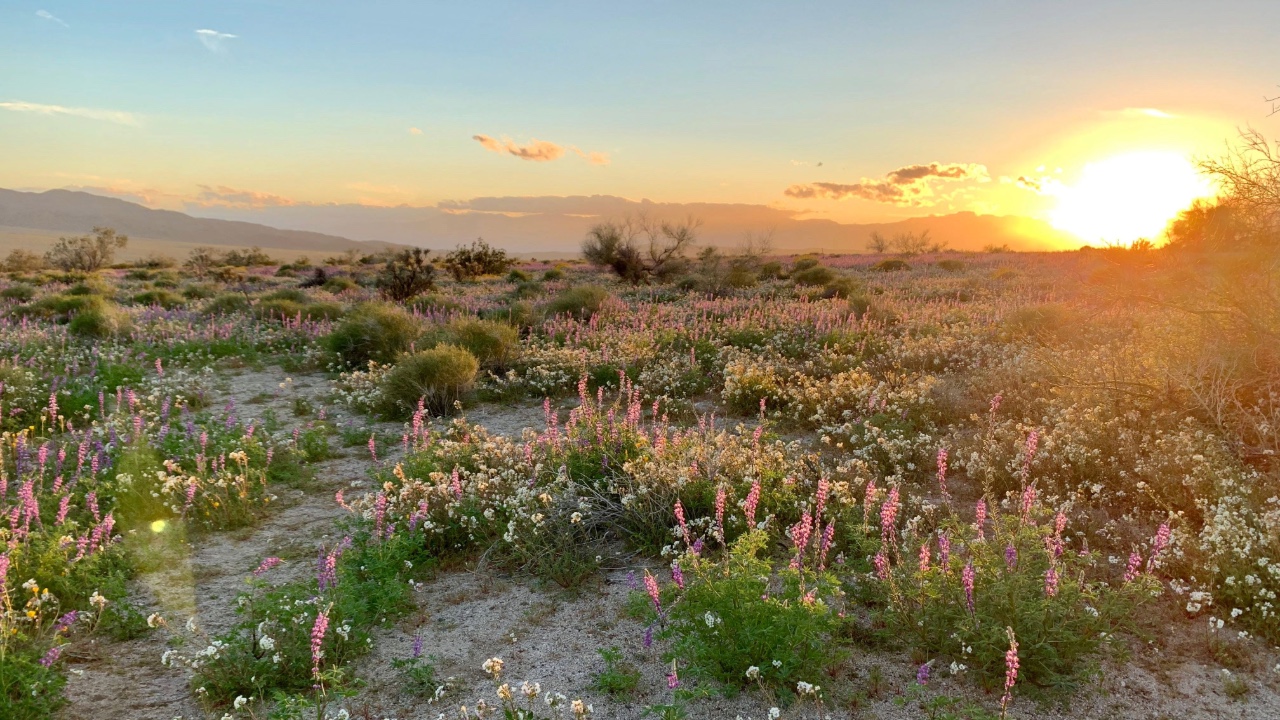 Prescott Preserve - Visualization 2