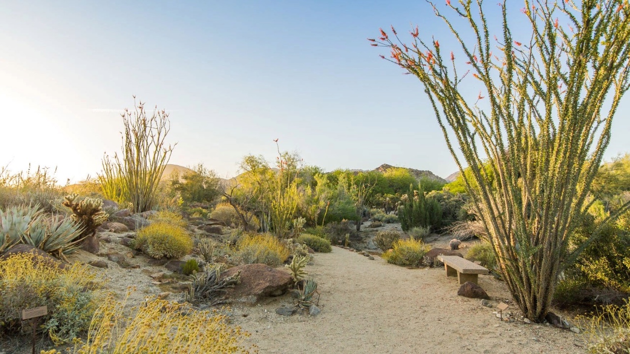 Prescott Preserve - Visualization 3