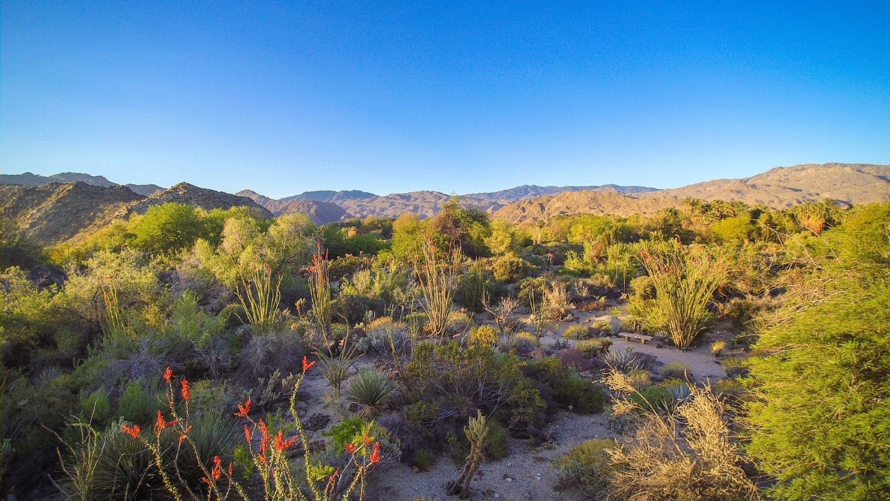 Prescott Preserve - Visualization