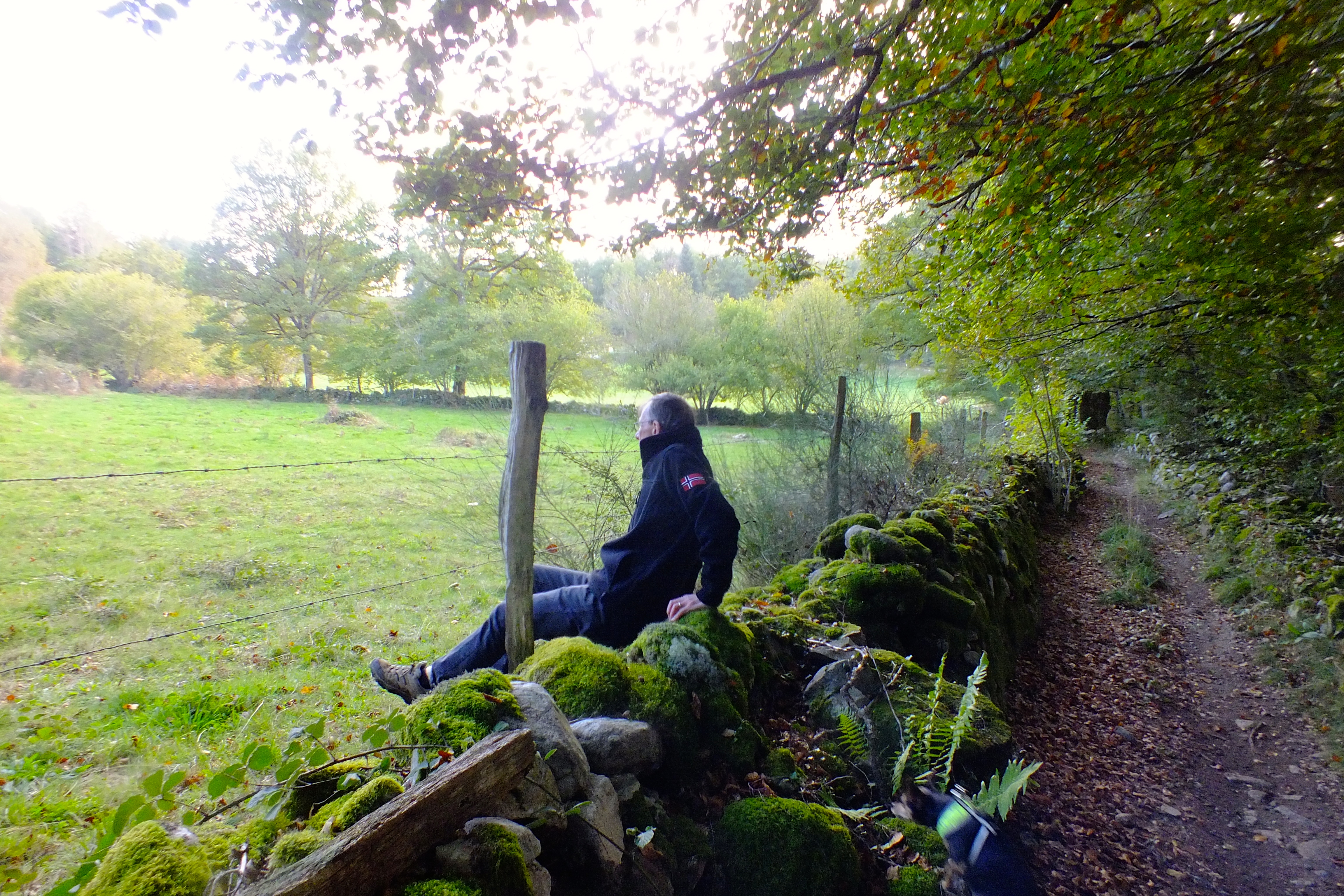 Stealthily sliding under the wire