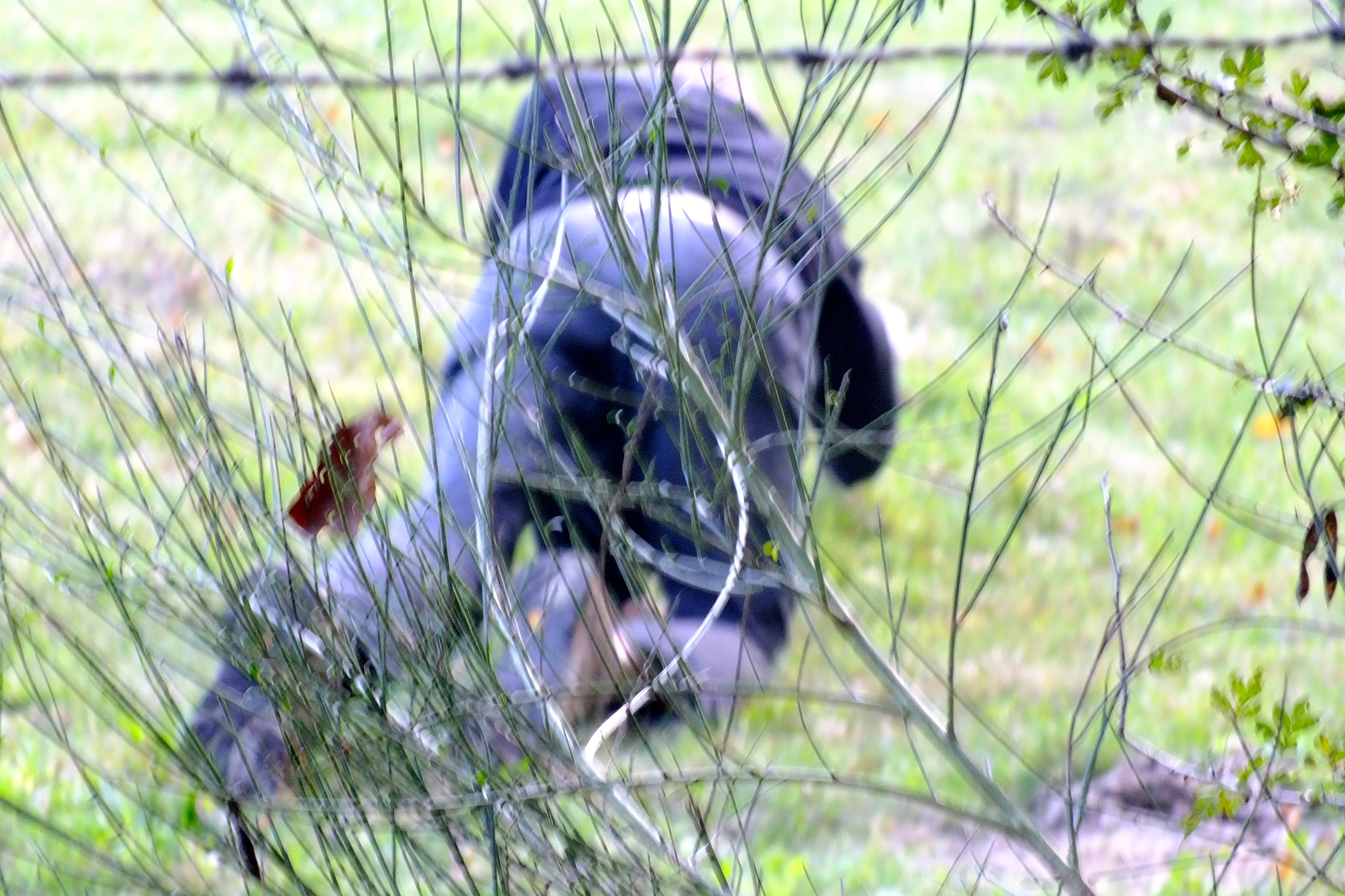 Capturing the hostage