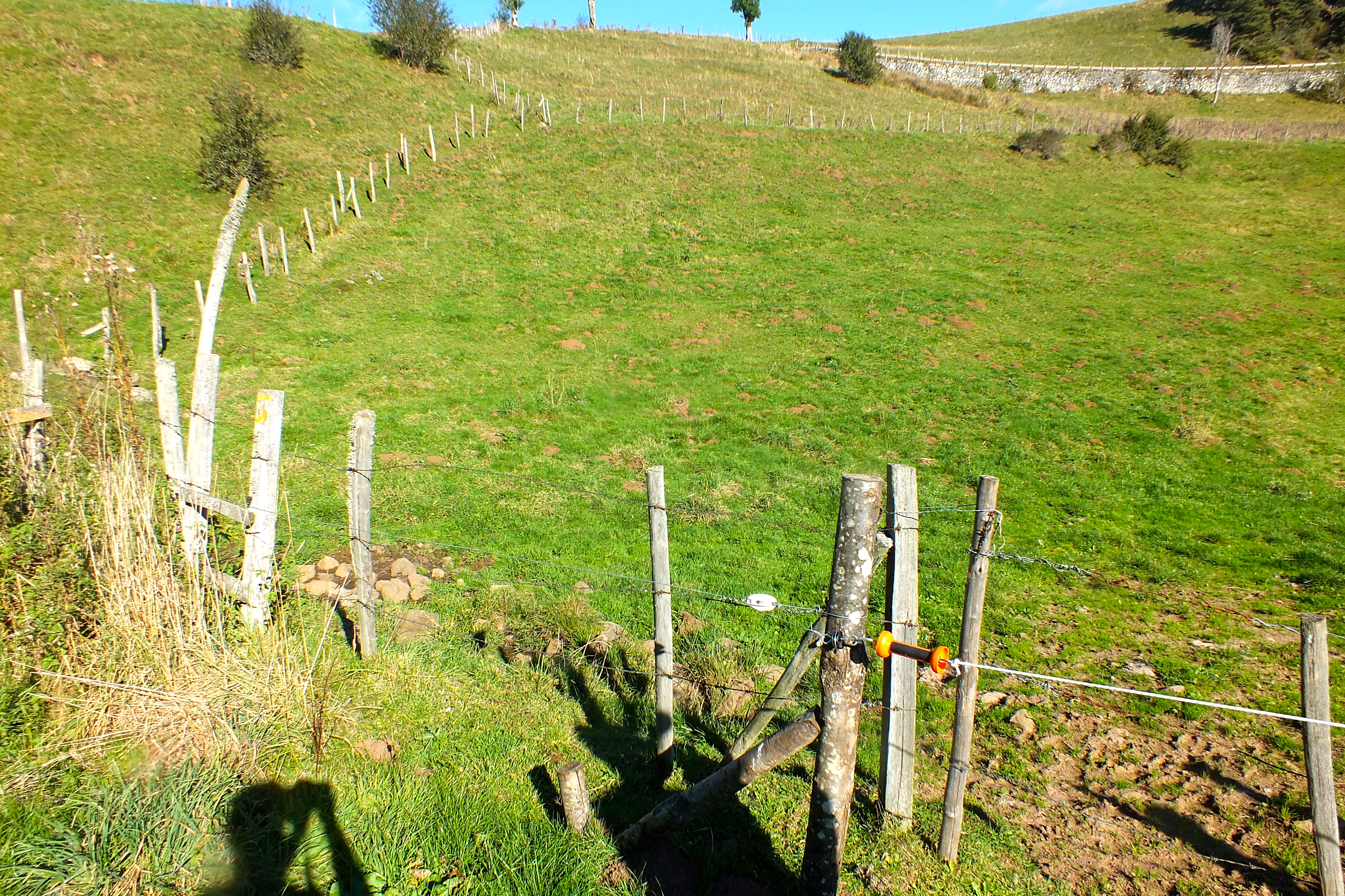 No fence untouched by the force
