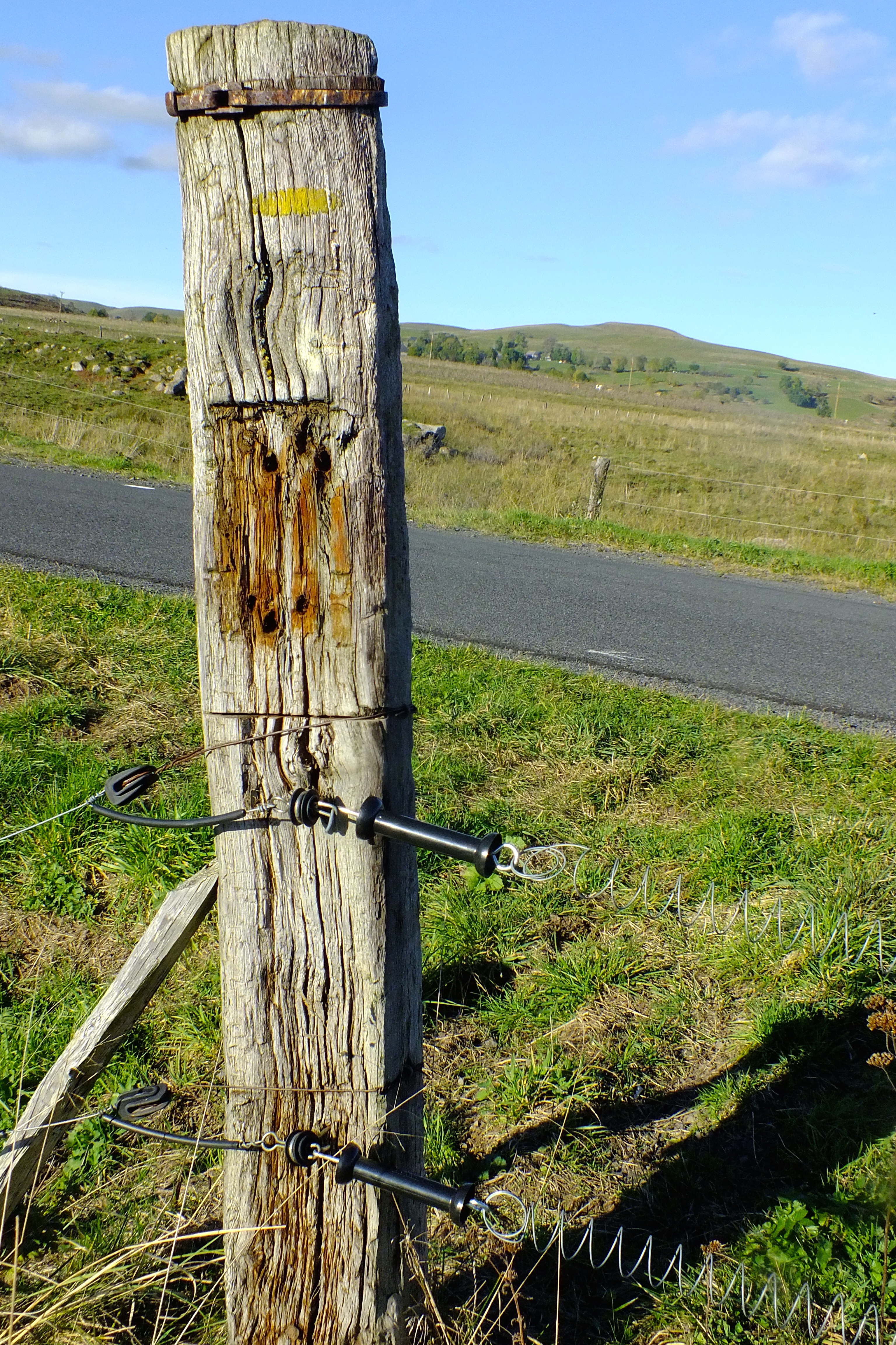 Touch it if you dare