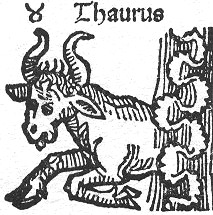 taurus