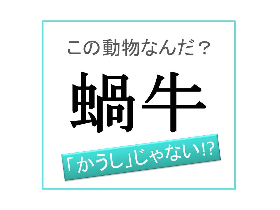 蝸読み方 蝸 Mutfxo