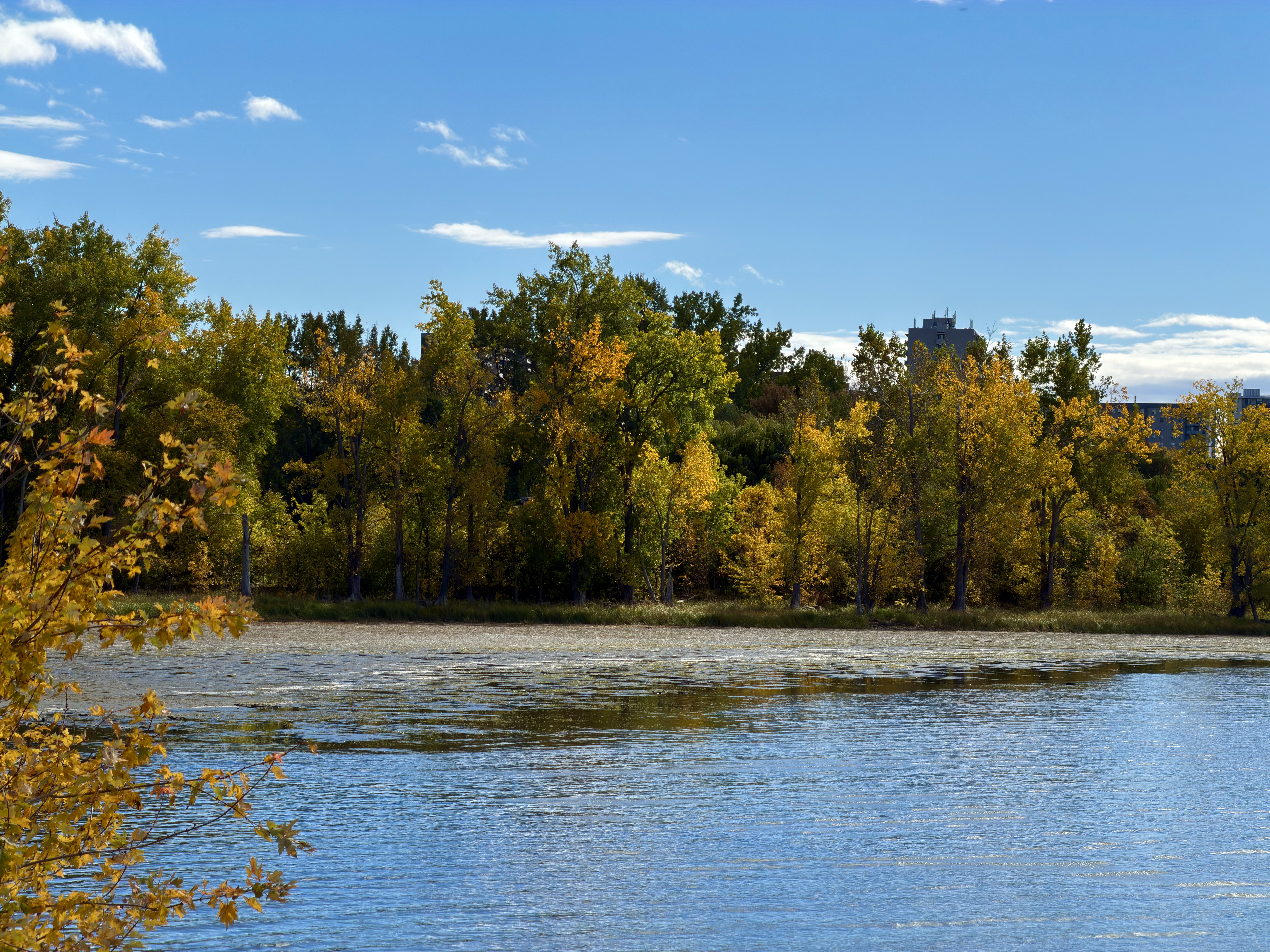 56 fun things to do in Ottawa this weekend | Oct 23-25